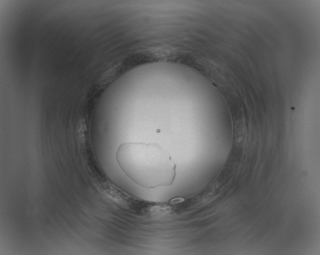 X0000073850279200609071615