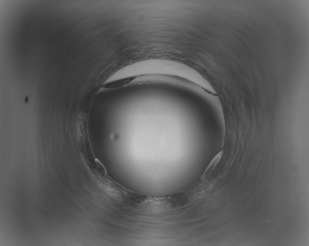 X0000073850280200609071615