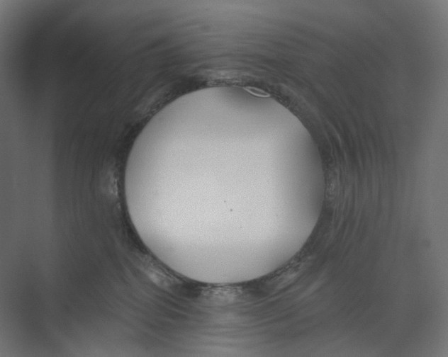 X0000073850282200609071615