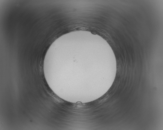 X0000073850285200609071615