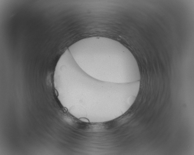 X0000073850286200609071615