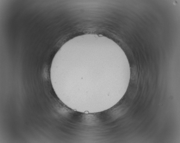 X0000073850287200609071615