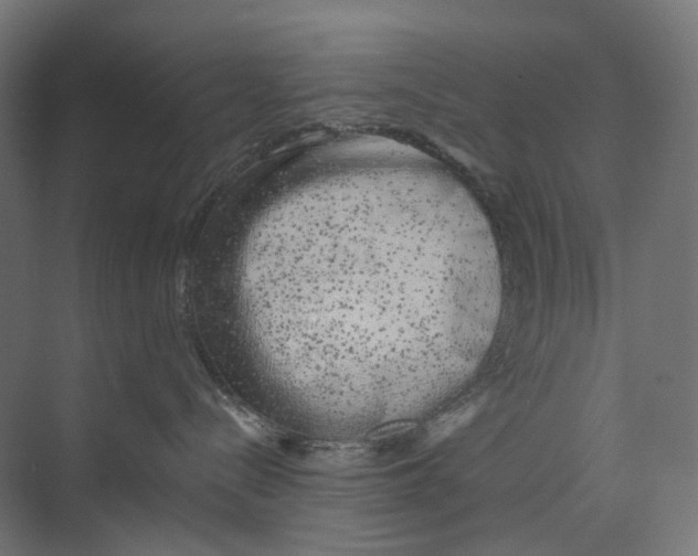 X0000073850288200609071615