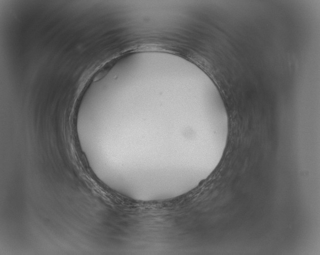 X0000073850289200609071614