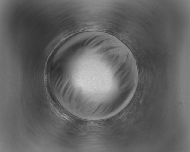 X0000073850290200609071614