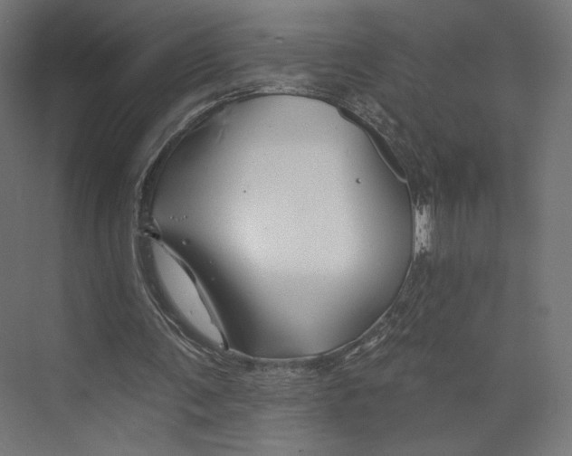 X0000073850291200609071614