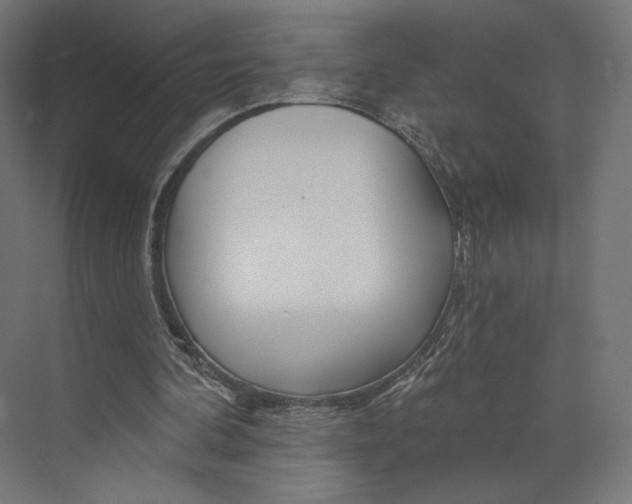 X0000073850292200609071614