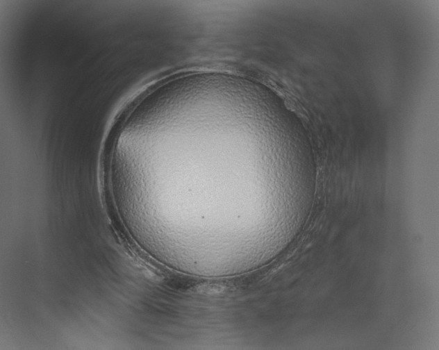 X0000073850294200609071614