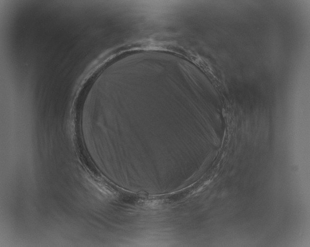 X0000073850295200609071614