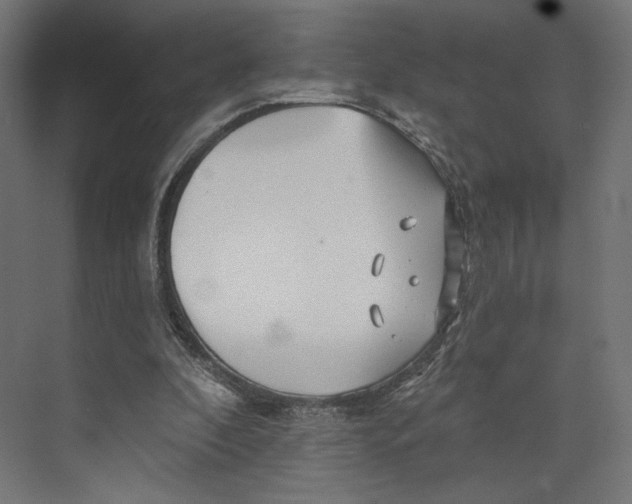 X0000073850296200609071614