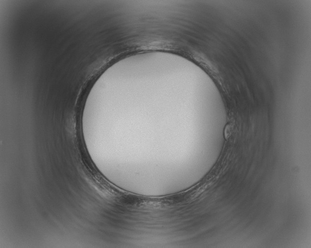 X0000073850298200609071614