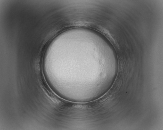 X0000073850299200609071614