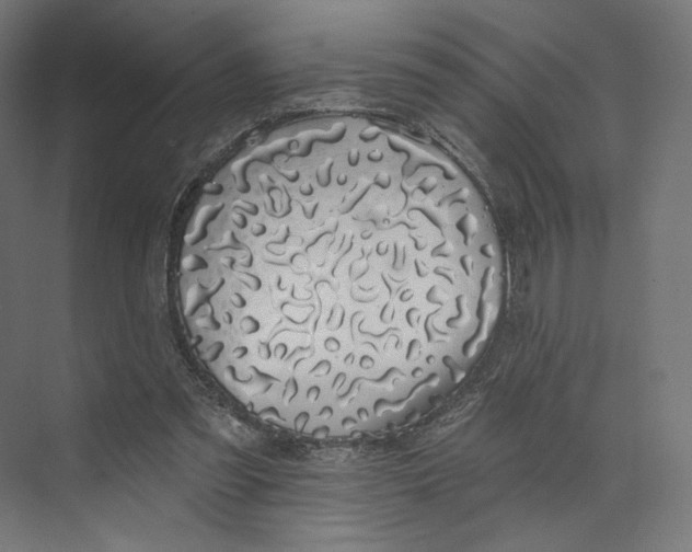 X0000073850301200609071614