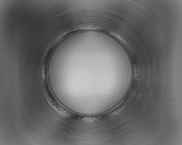 X0000073850302200609071614