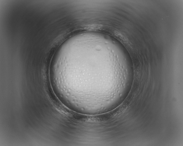 X0000073850303200609071614