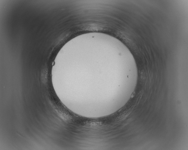 X0000073850304200609071614