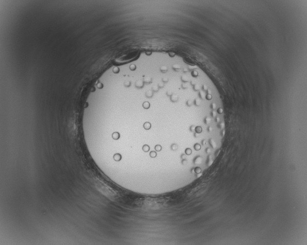 X0000073850305200609071614