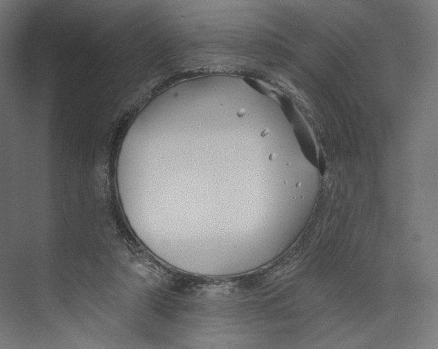 X0000073850306200609071614