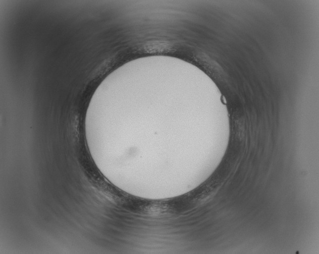 X0000073850308200609071614