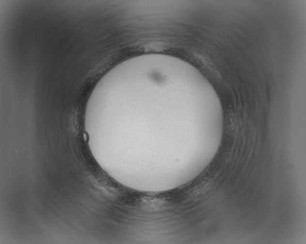 X0000073850311200609071614