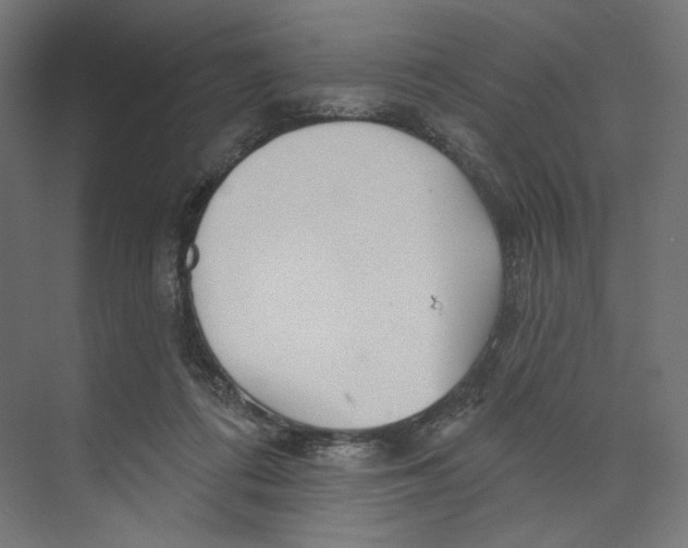 X0000073850312200609071614