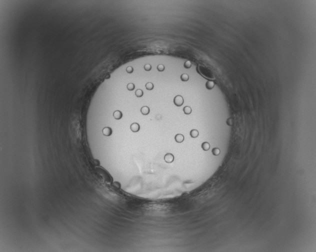 X0000073850313200609071614