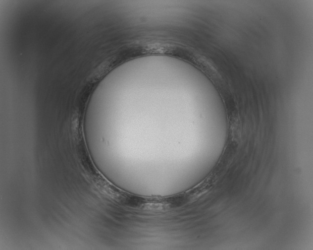 X0000073850314200609071614