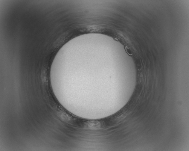 X0000073850317200609071614