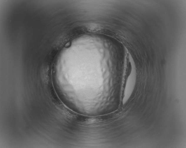 X0000073850319200609071614