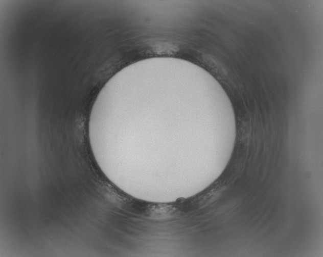 X0000073850321200609071614