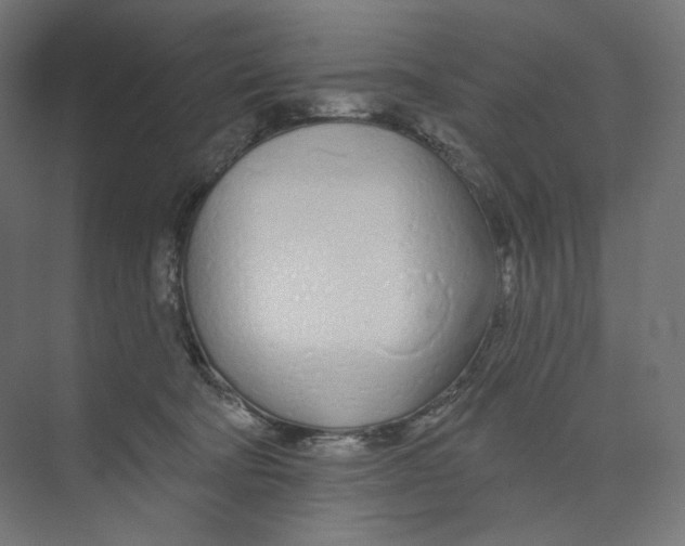 X0000073850322200609071614