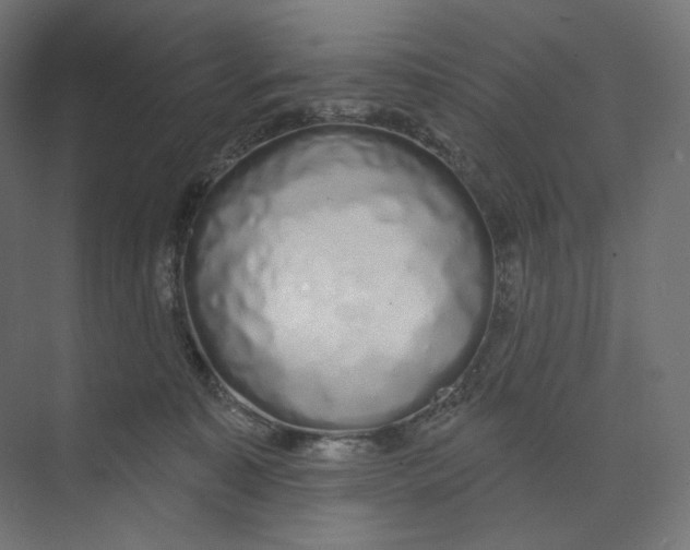 X0000073850323200609071614