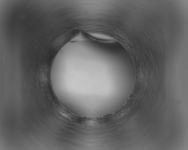 X0000073850325200609071614