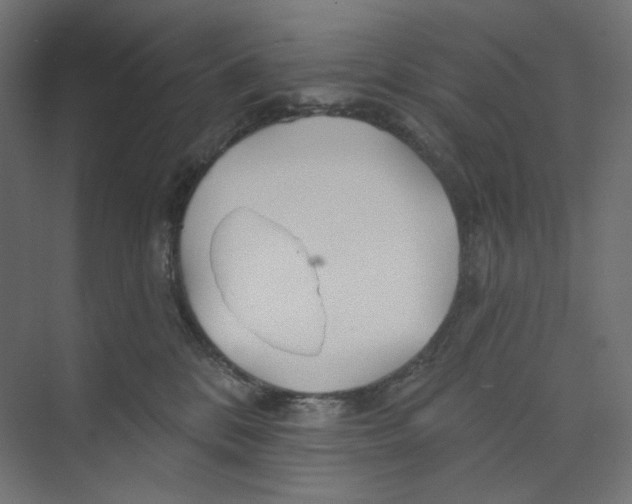 X0000073850328200609071614