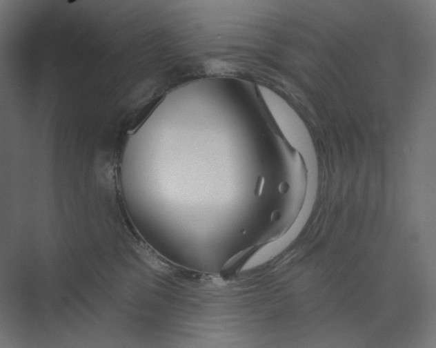 X0000073850329200609071614