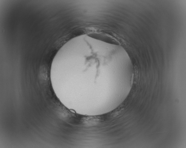 X0000073850331200609071613