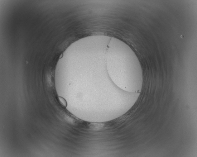 X0000073850334200609071613