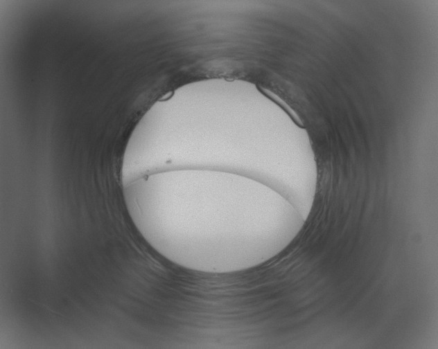 X0000073850335200609071613