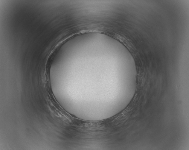 X0000073850338200609071613