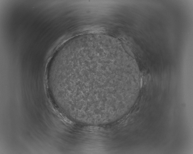 X0000073850339200609071613