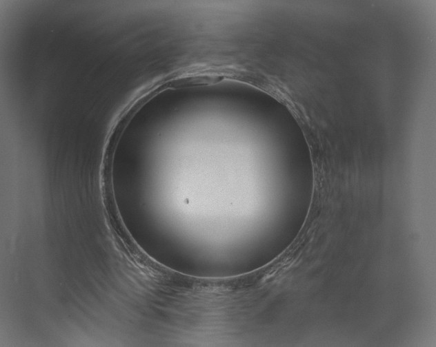 X0000073850340200609071613