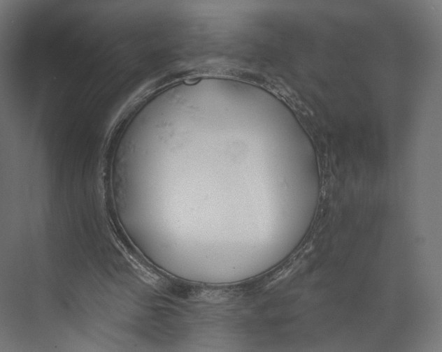 X0000073850341200609071613