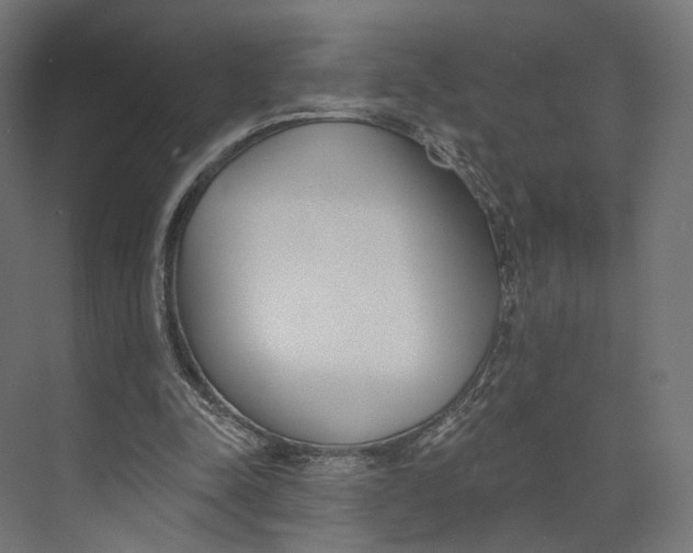 X0000073850342200609071613