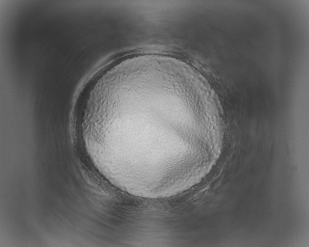 X0000073850343200609071613