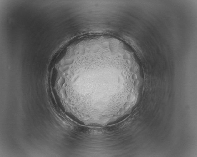 X0000073850346200609071613