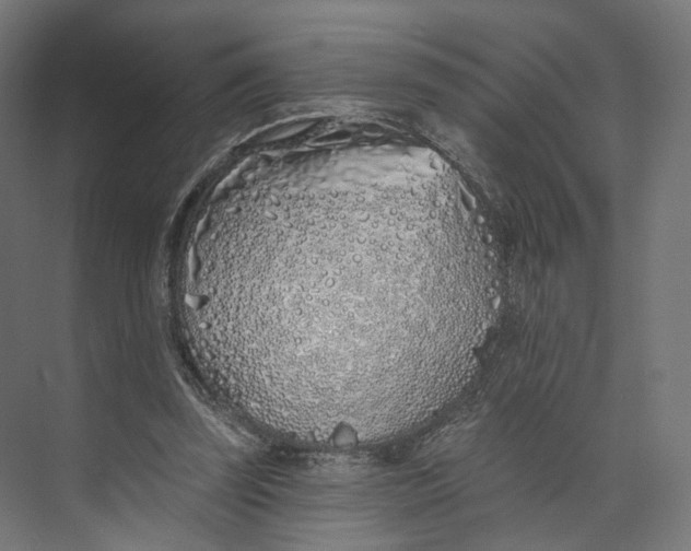 X0000073850347200609071613