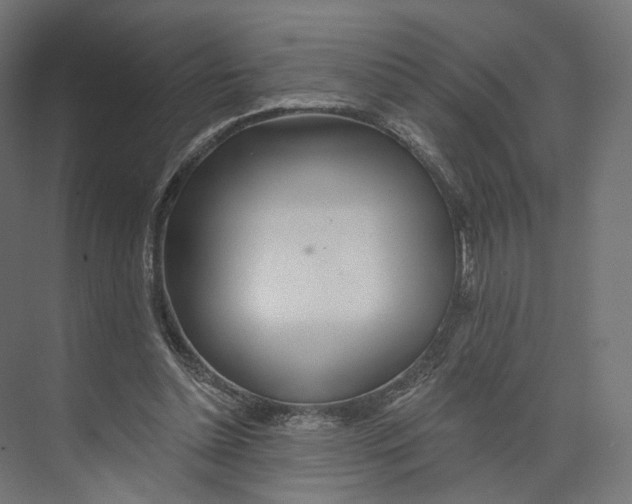 X0000073850348200609071613