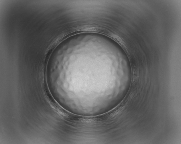 X0000073850349200609071613