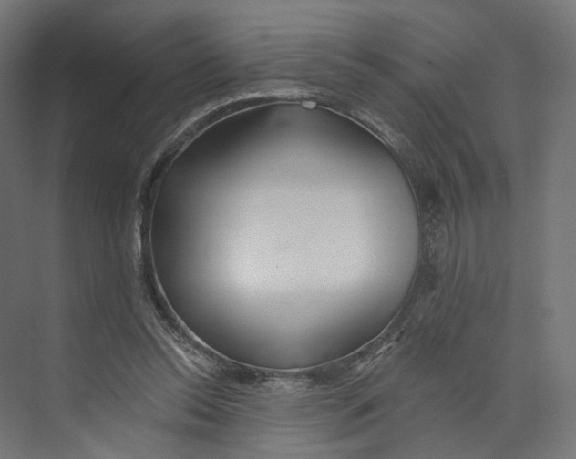 X0000073850350200609071613