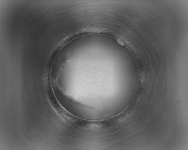 X0000073850352200609071613